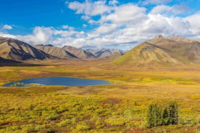 Tombstone Territorial Park
