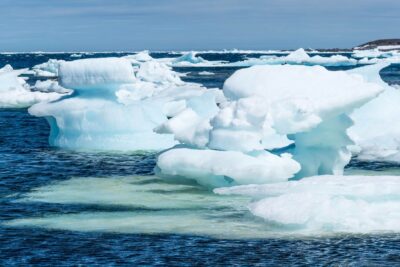 Wild Bight - Strait of Belle Isle - Newfoundland